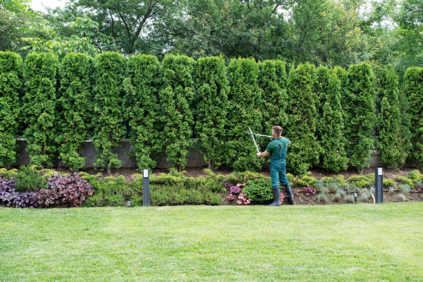 Artificial Turf Installation in East Williston, NY